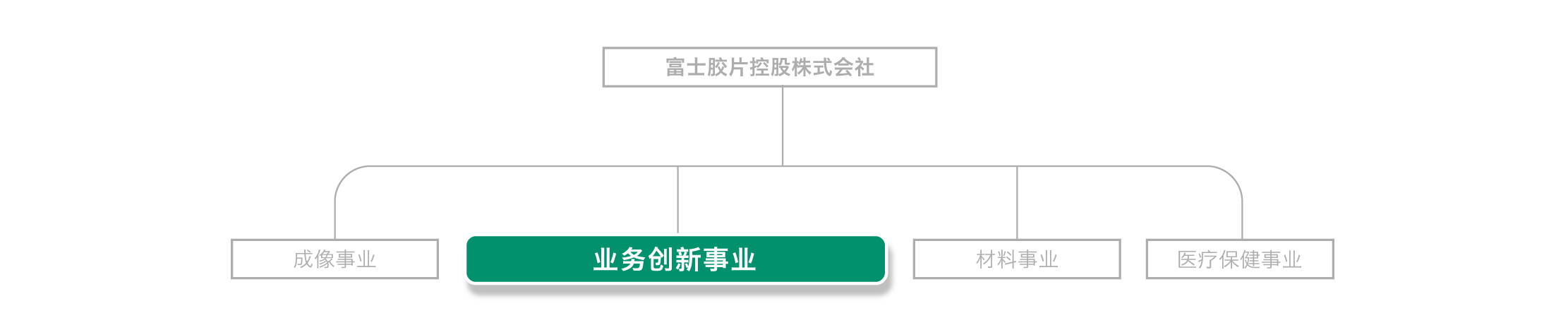 富士胶片控股开展了4项事业,我们通过商务创新事业为客户的成长做贡献。